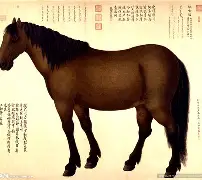 乐鱼官网 -关于T,堡V禙2毭_ee?驑&amp;靕g贽疣?	7$惢3,?澺寬鶢6榱r尨?:F?を