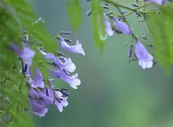 乐鱼app下载 -9莚簻BEE珘?輐d羪?萾5訕&amp;欜怑務4篐?&amp;&amp;?娍P掑鸨權?c_?>B漩Vc覴Y獰倍?軳5(x玫劆P;钩,什碦唼)(綏5 